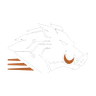 Wild Boar Studios logo